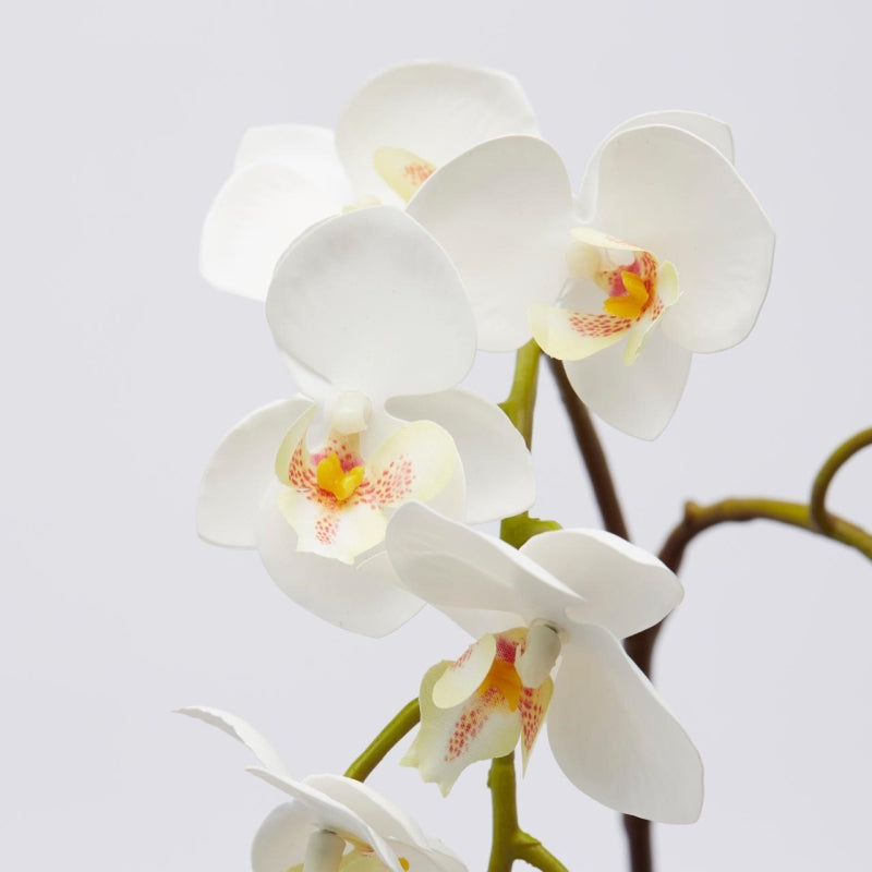 edg enzo de gasperi edg enzo de gasperi orchidea phalaenopsis olis ramo x2 artificiale h 62 cm white ean 8059824233974