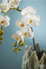 edg enzo de gasperi edg enzo de gasperi orchidea phalaenopsis olis ramo x2 artificiale h 62 cm white ean 8059824233974