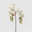 edg enzo de gasperi edg enzo de gasperi orchidea phalaenopsis olis ramo x2 artificiale h 62 cm white ean 8059824233974