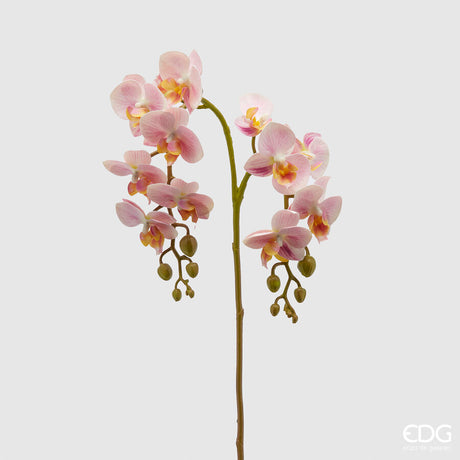 edg enzo de gasperi edg enzo de gasperi orchidea phalaenopsis olis ramo x2 artificiale h 62 cm pink ean 8059824234018