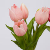 edg enzo de gasperi edg enzo de gasperi bouquet di 5 tulipani olis ass h 26 cm two tone pink 1 pz ean 8059824237163