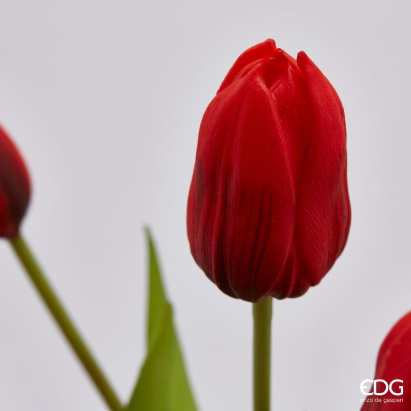 EDG Enzo De Gasperi Bouquet de 5 Tulipes Olis Ass. H 40 cm Orange 1 pièce