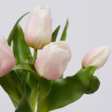 edg enzo de gasperi edg enzo de gasperi bouquet 5 tulipani olis ass h 28 cm white pink 1 pz ean 8059824237187