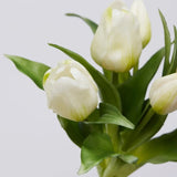 edg enzo de gasperi edg enzo de gasperi bouquet 5 tulipani olis ass h 28 cm white pink 1 pz ean 8059824237187