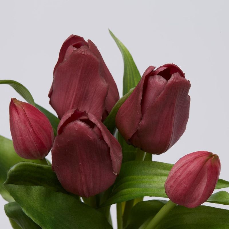 EDG Enzo De Gasperi Bouquet 5 Tulips Olis Assorted H 28 Cm Mauve 1 Pc