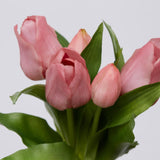 EDG Enzo De Gasperi Bouquet 5 Tulips Olis Assorted H 28 Cm Mauve 1 Pc