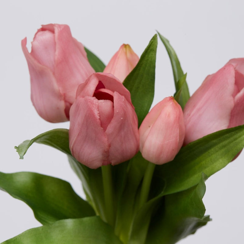 Bouquet EDG Enzo De Gasperi 5 Tulipes Olis Assorties H 28 Cm Mauve 1 Pc