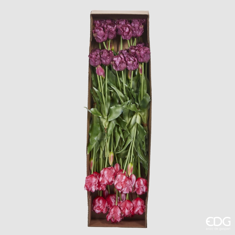 edg enzo de gasperi edg enzo de gasperi bouquet 5 tulipani parrot olis ass h 40 cm two tone pink 1 pz ean 8059824237347