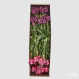 edg enzo de gasperi edg enzo de gasperi bouquet 5 tulipani parrot olis ass h 40 cm two tone pink 1 pz ean 8059824237347