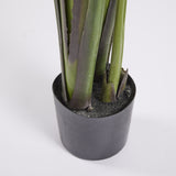 EDG Enzo De Gasperi Strelizia with Artificial Vase H 185 Cm Green Color