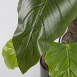 edg enzo de gasperi edg enzo de gasperi alocasia con vaso artificiale h 180 cm green ean 8059824321411