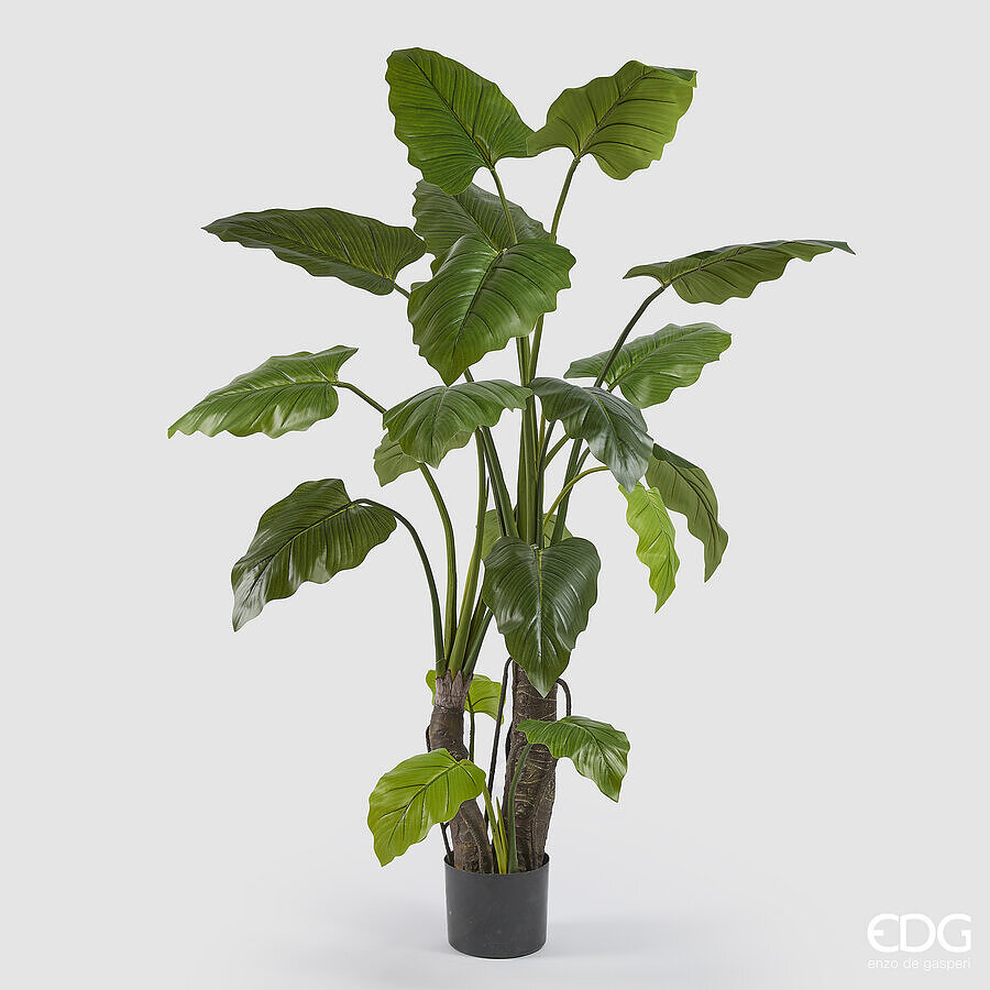 edg enzo de gasperi edg enzo de gasperi alocasia con vaso artificiale h 180 cm green ean 8059824321411