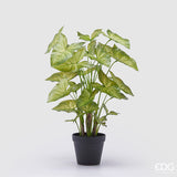 edg enzo de gasperi edg enzo de gasperi caladium con vaso artificiale h 47 cm green ean 8059824355201