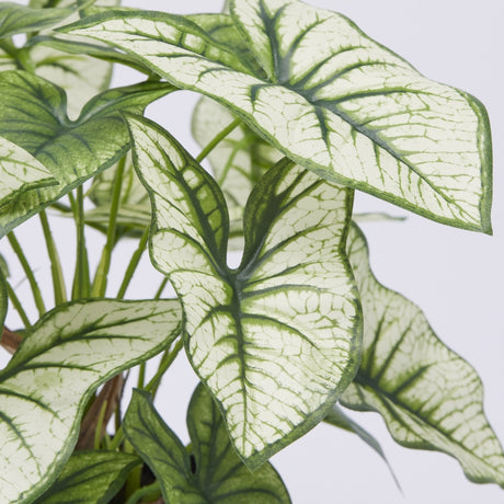 edg enzo de gasperi edg enzo de gasperi caladium variegato con vaso artificiale h 33 cm green ean 8059824355225