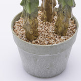 edg enzo de gasperi edg enzo de gasperi cactus cereus succ con vaso artificiale h 80 cm green ean 8059824368058