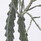 edg enzo de gasperi edg enzo de gasperi cactus cereus succ con vaso artificiale h 75 cm green ean 8059824368072