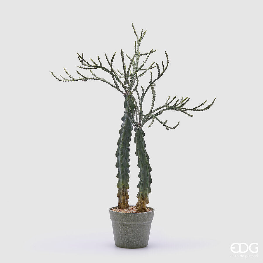 edg enzo de gasperi edg enzo de gasperi cactus cereus succ con vaso artificiale h 75 cm green ean 8059824368072