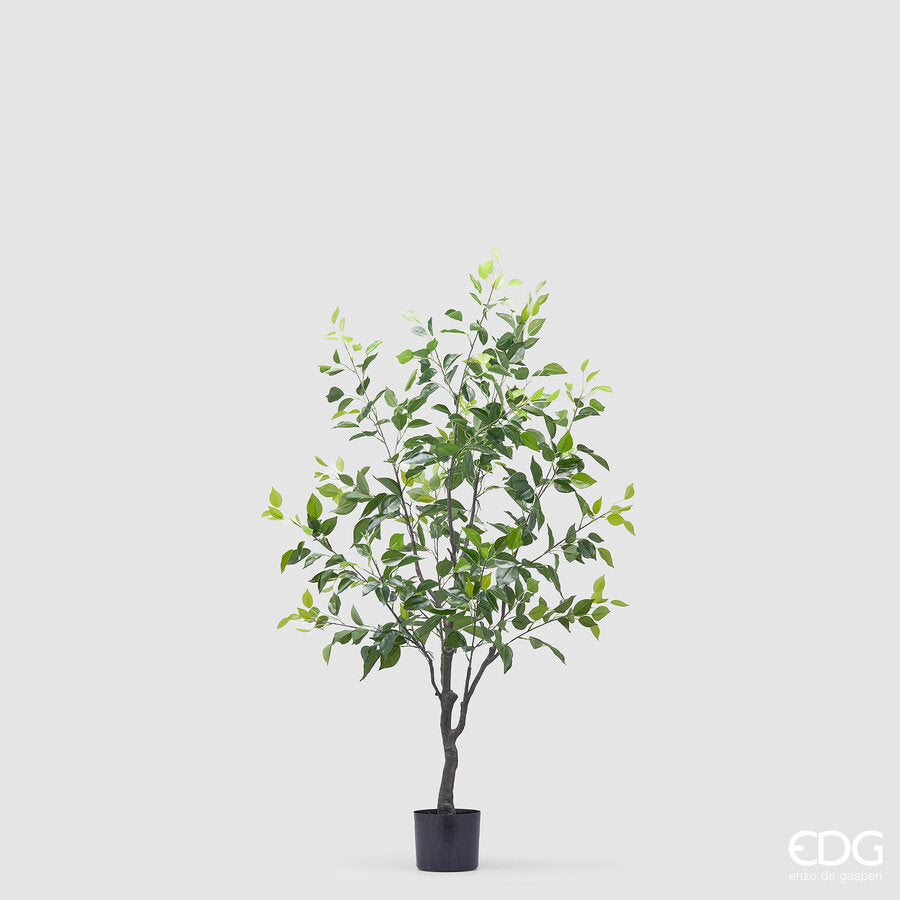 edg enzo de gasperi edg enzo de gasperi ficus beniamino con vaso artificiale h 130 cm green ean 8059824369543