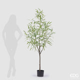 edg enzo de gasperi edg enzo de gasperi eucalipto con vaso artificiale h 170 cm light green ean 8059824377777