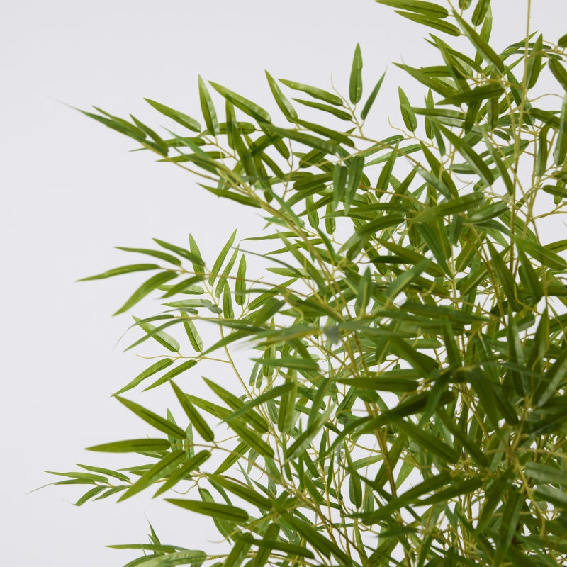 EDG Enzo De Gasperi Bambou avec Vase H 150 cm Couleur Vert