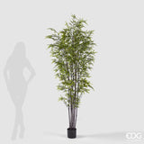 EDG Enzo De Gasperi Bamboo with Vase H 210 cm Dark and Light Green Color
