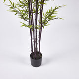 EDG Enzo De Gasperi Bamboo with Vase H 210 cm Dark and Light Green Color