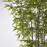 EDG Enzo De Gasperi Bamboo with Vase H 210 cm Dark and Light Green Color