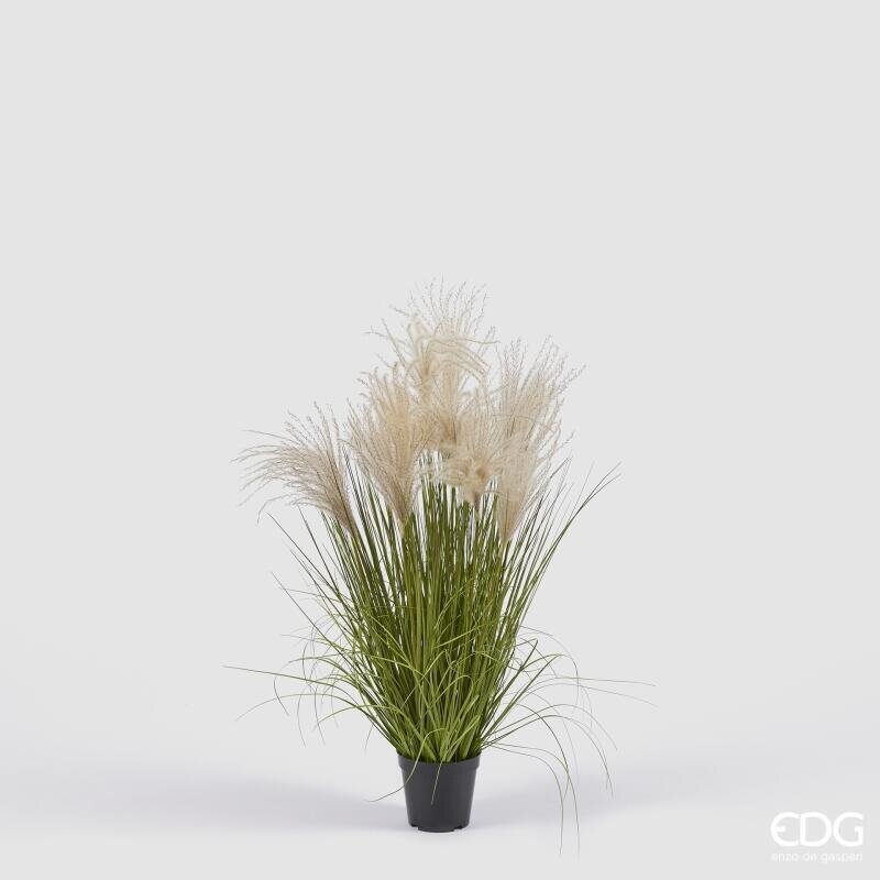 EDG Enzo De Gasperi Festuca Artificielle H80 cm avec Vase H10xØ13 cm – Plante Ornementale Décorée pour Intérieurs