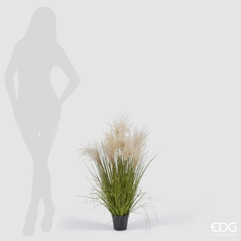 EDG Enzo De Gasperi Festuca Artificielle H80 cm avec Vase H10xØ13 cm – Plante Ornementale Décorée pour Intérieurs