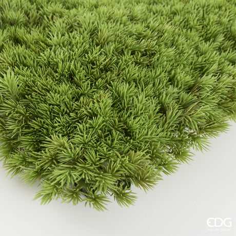 EDG Enzo De Gasperi Siepe Muschio Artificiale Anti UV 100x100 cm Imperméable – Décoration Verte