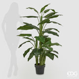 edg enzo de gasperi edg enzo de gasperi calla pianta con vaso artificiale h 145 cm green ean 8054184864516