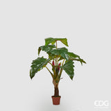 edg enzo de gasperi edg enzo de gasperi alocasia chic con vaso artificiale h 160 cm green ean 8056372078866