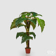 edg enzo de gasperi edg enzo de gasperi alocasia chic con vaso artificiale h 196 cm green ean 8056372084973