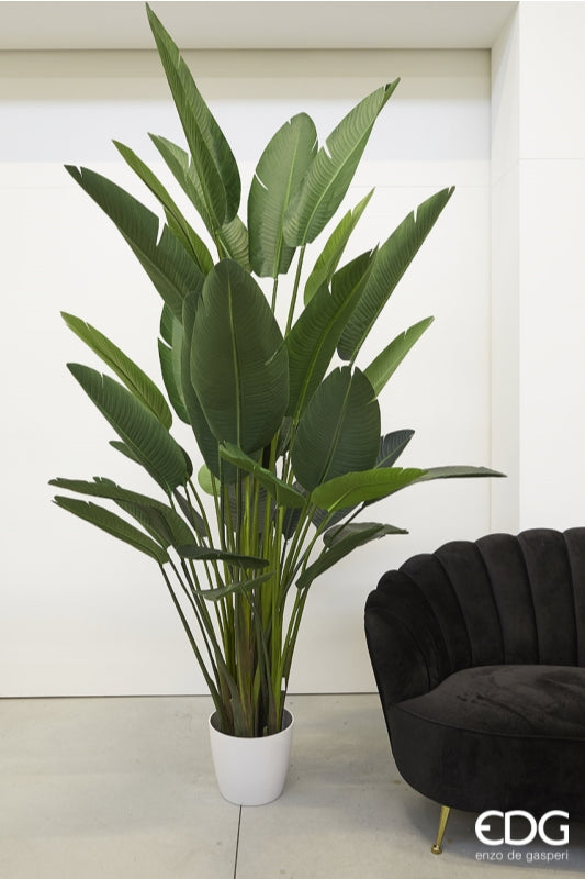 edg enzo de gasperi edg enzo de gasperi strelitzia chic con vaso artificiale h 245 cm green ean 8056372799051