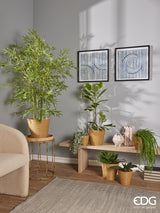 edg enzo de gasperi edg enzo de gasperi orchidea phalaenopsis foglia olis x6 con radice artificiale h 27 cm green ean 8056372972522