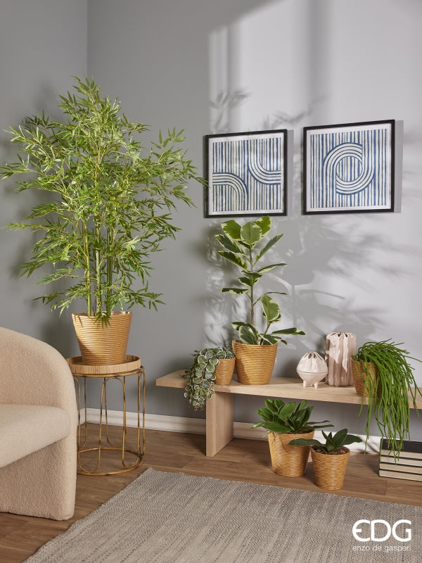 EDG Enzo De Gasperi Phalaenopsis Feuille d'Orchidée x5 Artificielle H 27 Cm Vert 