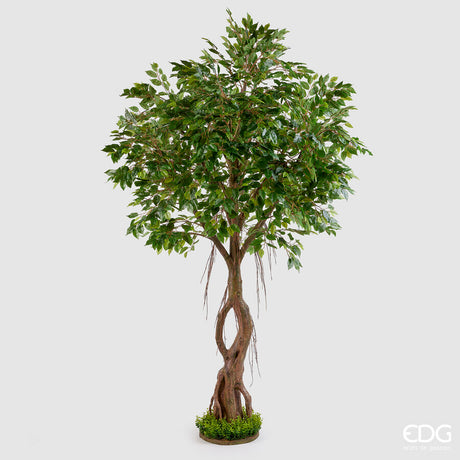 edg enzo de gasperi edg enzo de gasperi ficus beniamino con zolla artificiale h 245 cm green ean 8056372967931