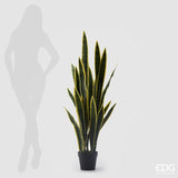 edg enzo de gasperi edg enzo de gasperi sanseveria west con vaso artificiale h 140 cm yellow green ean 8059824111678