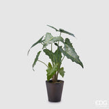 edg enzo de gasperi edg enzo de gasperi alocasia chic con vaso artificiale h 58 cm green ean 8059824309143