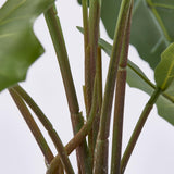 edg enzo de gasperi edg enzo de gasperi alocasia chic con vaso artificiale h 58 cm green ean 8059824309143