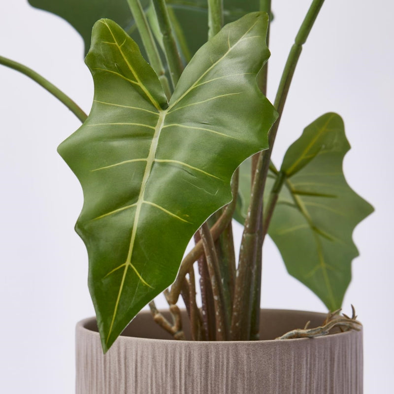 edg enzo de gasperi edg enzo de gasperi alocasia chic con vaso artificiale h 58 cm green ean 8059824309143