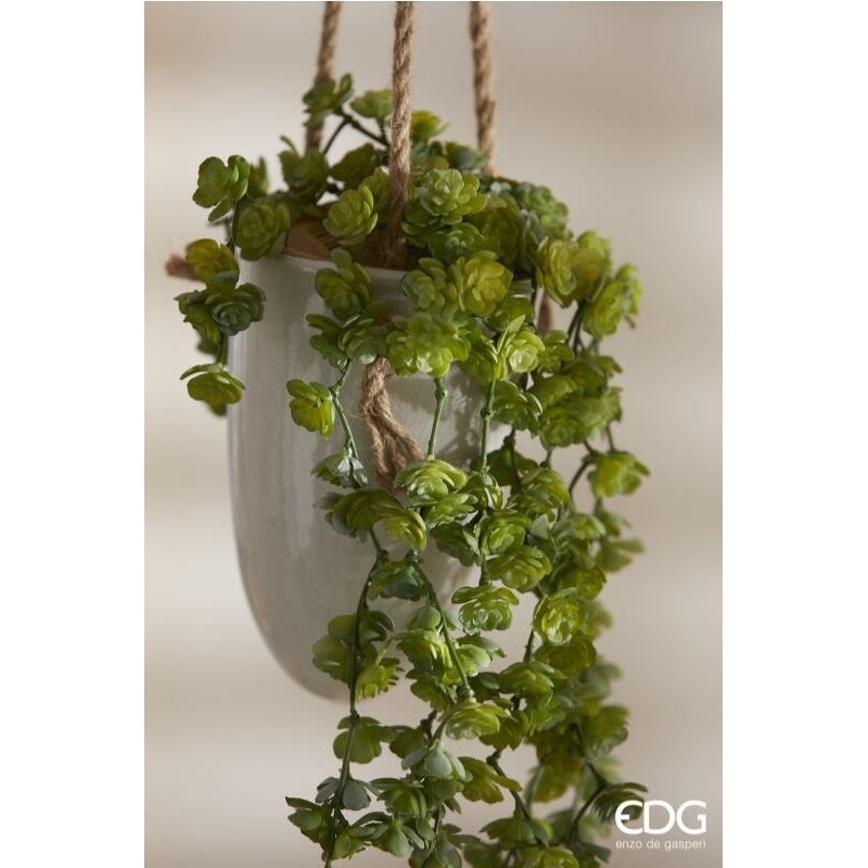 EDG Enzo De Gasperi Echeveria Olis Buisson Retombant H 44 Cm Plante Artificielle Vert Clair