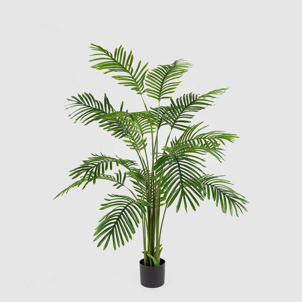 Palmier d'arec EDG Enzo De Gasperi avec vase H150 C3 vert