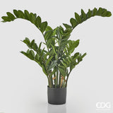 edg enzo de gasperi edg enzo de gasperi zamifolia 15 rami con vaso h 130 cm green ean 8054184813552