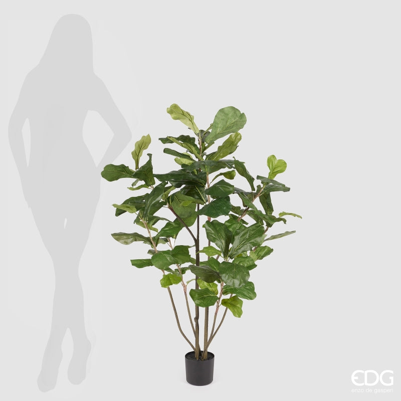 edg enzo de gasperi edg enzo de gasperi ficus lyrata con vaso h 122 cm green ean 8054184814290