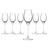 RCR Cristalleria Italiana Invino - I10 Liquore - Ensemble de 6 verres à liqueur en verre