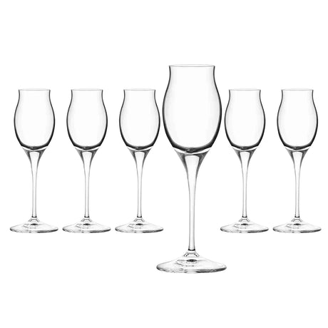 RCR Cristalleria Italiana Invino - I10 Liquore - Ensemble de 6 verres à liqueur en verre