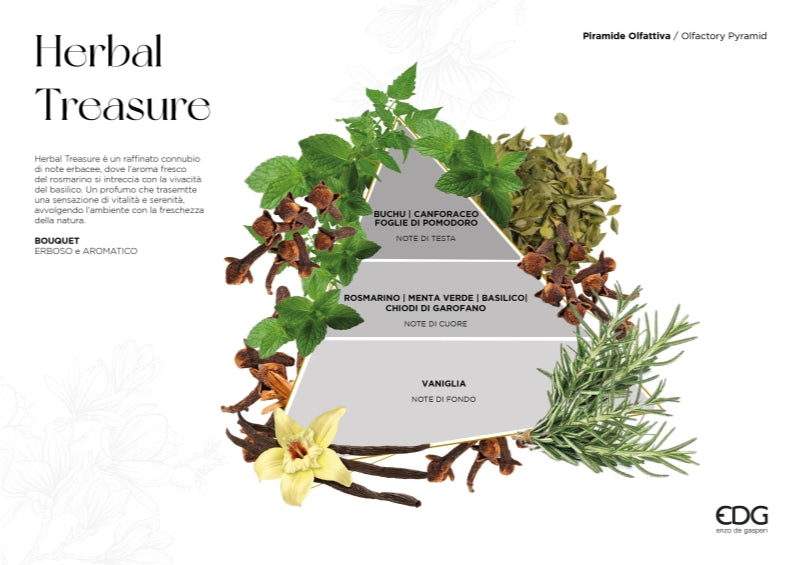 EDG Enzo De Gasperi Diffuseur Bouteille Atena Herbal Treasure 180 ml – Diffuseur Ambiance Noël