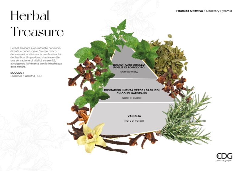 EDG Enzo De Gasperi Diffuseur Bouteille Atena Herbal Treasure 460 ml H16 Ø9 cm – Parfum pour Intérieur