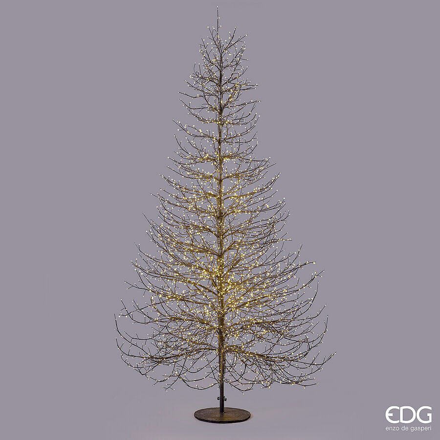 EDG Enzo De Gasperi Sapin de Noël Hêtre Rich Black 6590 MicroLED H300 Ø180 cm IP44 – Sapin Lumineux d'Extérieur
